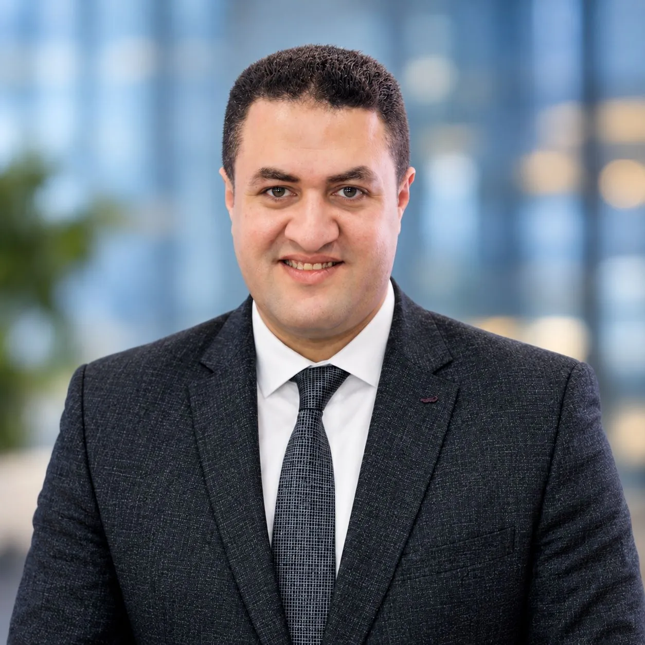 Ahmed Aly Seyam